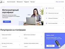 Нижегородский бизнес может воспользоваться платформой «Мой экспорт» для получения экспортных лицензий на ряд товаров