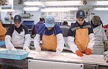 Акционер известной в Приморье рыбодобывающей компании попался на крючок