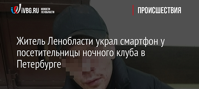 Житель Ленобласти украл смартфон у посетительницы ночного клуба в Петербурге