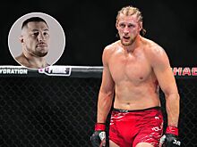 Александр Волков — Евгений Гончаров, схватка по джиу-джитсу, ACBJJ 20 в Москве, Александр Волков: карьера в UFC, следующий бой