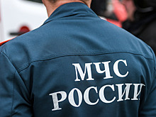 Женщину и двух кошек эвакуировали из горящей квартиры в центре Москвы