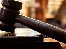 Аукцион в защиту редких животных на ВЭФ собрал 2 миллиона рублей