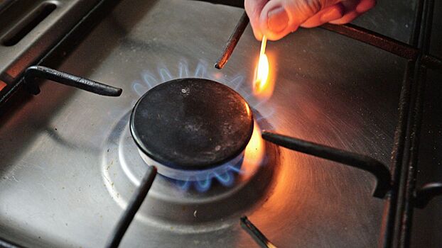 В России предупредили о штрафах за старые газовые плиты