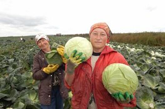 Запасы кончились. Кто задрал цены на овощи и фрукты в Татарстане?
