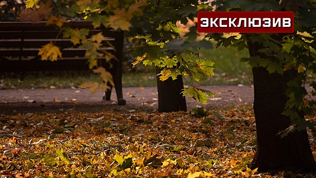 После дождливой погоды в Москву вернется тепло