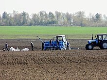 Аграрии Татарстана из-за прошедшей жары опасаются потерять до 20% будущего урожая зерновых