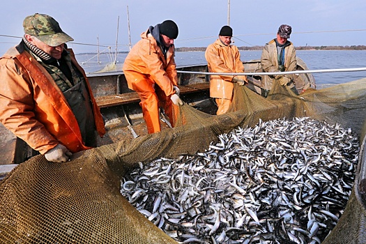 Калининградские рыбаки будут добывать рыбу на Каспии
