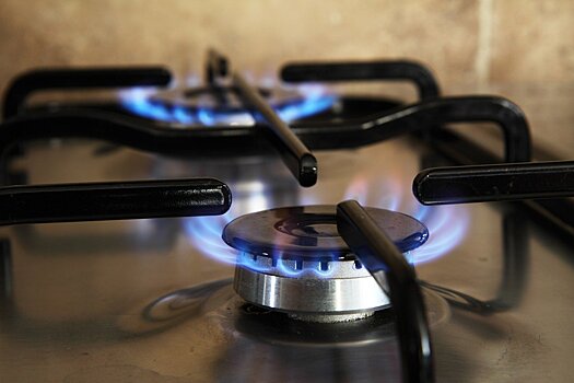 &quot;Газпром&quot; за свой счет будет проводить газ к небольшим домовладениям
