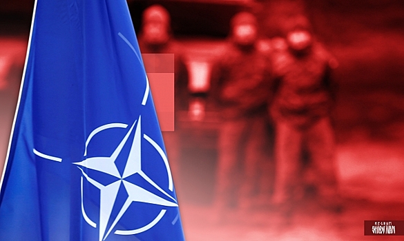 «Отпустите нас»: Грузию и Украину «одурманили» в НАТО