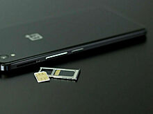 Сервис по самозапрету оформления SIM-карт может появиться весной 2026 года