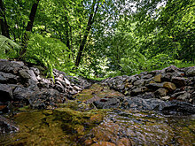 В Подмосковье после реконструкции открыли два родника