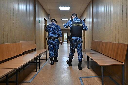 В российском регионе у начальника ИФНС обнаружен участок за 120 миллионов рублей