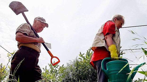 Дачникам напомнили о штрафе до 50 тысяч рублей