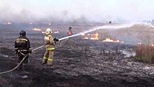Природные пожары в Оренбуржье: огонь из Казахстана может прийти снова