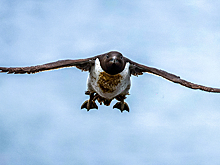 В России стартовал художественный конкурс для детей и взрослых