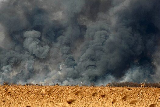 Под Аткарском сгорело 80 гектаров поля с пшеницей
