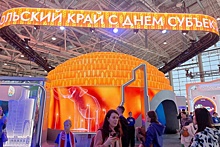 Регионы СКФО удивили посетителей выставки "Россия" едой будущего
