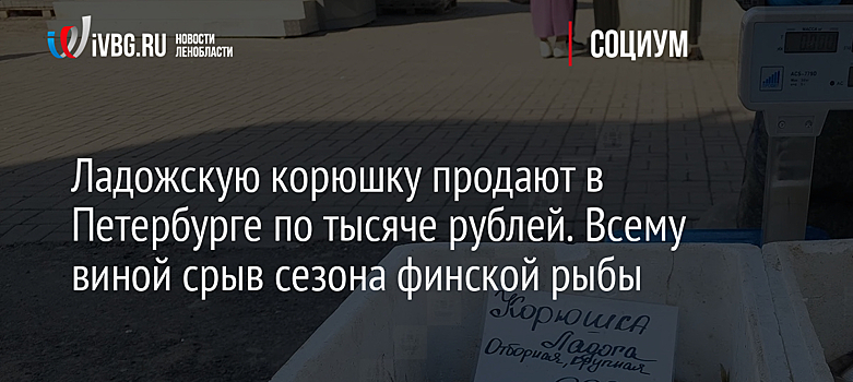 Ладожскую корюшку продают в Петербурге по тысяче рублей. Всему виной срыв сезона финской рыбы