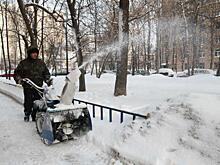 На уборку территории от снега в СВАО вышли более 500 единиц техники