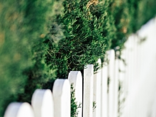 Новый порядок сделок с землёй для россиян: какие изменения произошли с 1 марта