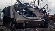 «Цитадель-2.0»: чем «контрнаступ» Киева напоминает операцию вермахта под Курском
