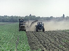 Теневой оборот земли на Украине достигает $410 млн