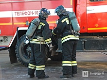 Два дома сгорели в Нижегородской области 16 апреля