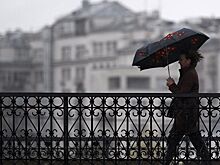 В Москве выпало более половины месячной нормы осадков