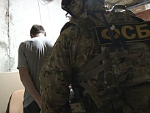 В Липецке вскрыта конспиративная деятельность Свидетелей Иеговы