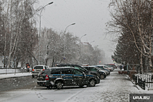 Курганскую область накроет ледяным дождем и снегопадом