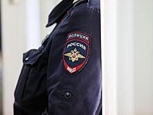 Россиянка покусала и побила полицейских и получила срок