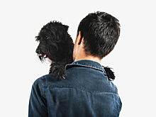 Осколок попал в голову: в Воронеже дрон ВСУ убил мужчину, который попытался спасти собаку