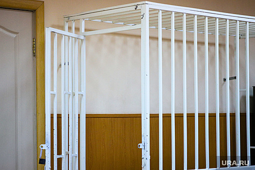 Верховный суд оставил в силе приговор олигарху-полковнику ФСБ