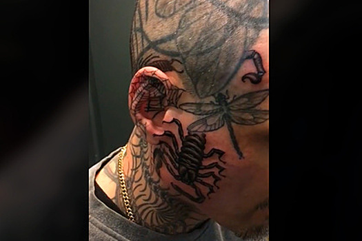 Набивший 864 татуировки с насекомыми мужчина пожаловался на боязнь насекомых