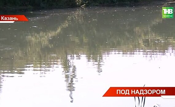 В Татарстане Росприроднадзор в 2022 году выписал больше 6 млрд рублей штрафов за нарушения — видео