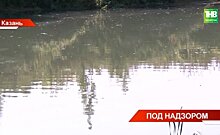 В Татарстане Росприроднадзор в 2022 году выписал больше 6 млрд рублей штрафов за нарушения — видео