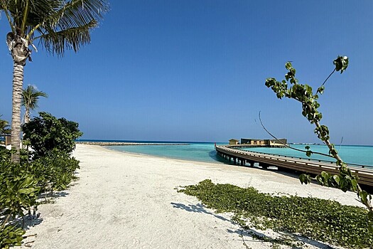 Российские туристы на Мальдивах массово жалуются на тяжёлые солнечные ожоги