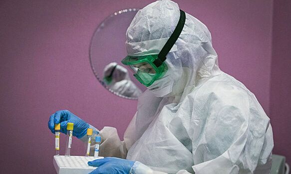 Австралийские ученые открыли новое природное средство от коронавируса
