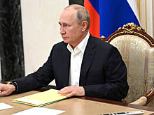 Владимир Путин проголосовал онлайн на выборах в Госдуму