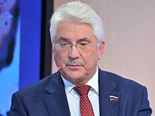 В Госдуме высказались о принципах рассмотрения плана Трампа в России