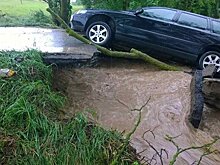 Видеомост о ДТП в странах СНГ: как остановить смерть на дорогах