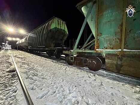 В Забайкальском крае сошли с рельсов три вагона во время маневров