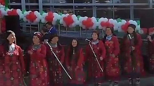 На участницу коллектива "Бурановские бабушки" упала вывеска
