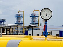 Сотрудник РАН назвал агрессивным заявление чешского дипломата о покупке газа у РФ