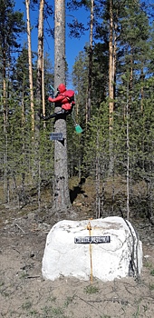 Ведьма призывает не превышать скорость на повороте на дорогу в Каменку