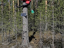 Ведьма призывает не превышать скорость на повороте на дорогу в Каменку