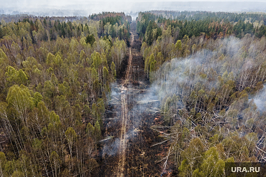 В Челябинской области сгорели 200 гектаров леса