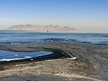 В Большом Соленом озере нашли неизвестный вид, который озадачил биологов