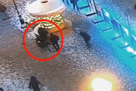 Поножовщина у мандариновых елок в Москве попала на видео