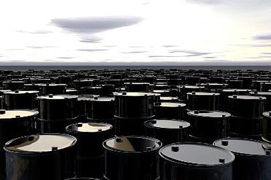 Индонезия заинтересована в приобретении российской нефти